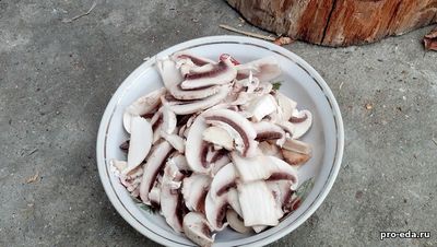 порезанные грибы